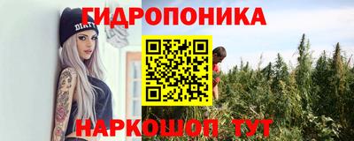 гидропоника Заводоуковск
