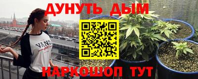 гидропоника Заводоуковск