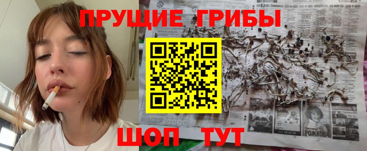 Псилоцибиновые грибы мицелий  Вход с VPN  Галлюциногенные грибы мицелий  Заречный 