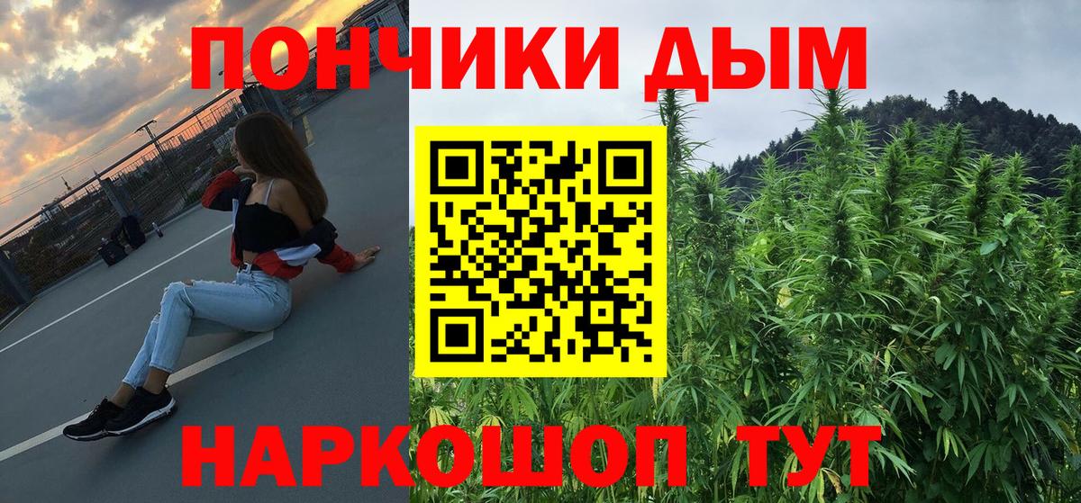 Бошки марихуана ГИДРОПОН  Бошки марихуана Bruce Banner  Заречный  МАРИХУАНА Amnesia  Бошки Шишки Ganja  Вход с VPN 